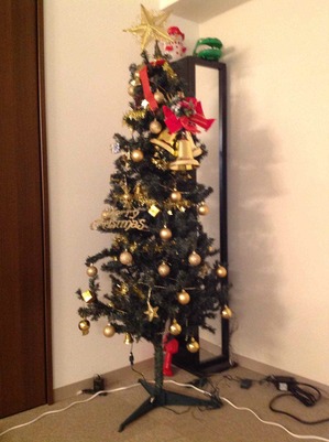 IMG_0105-thumb-300x401-717