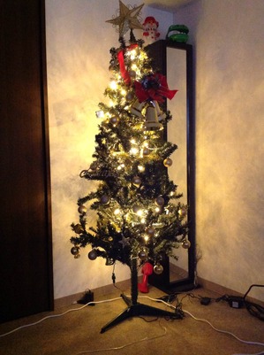 IMG_0106-thumb-300x401-718