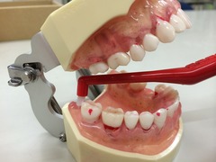 ふ-thumb-240x180-957