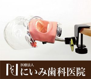 三重県四日市_にいみ歯科医院_ファントーム_マネキン