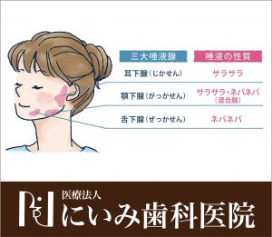 三重県四日市_にいみ歯科医院_唾液腺