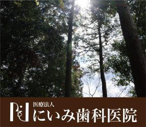 三重県四日市_にいみ歯科医院_新緑